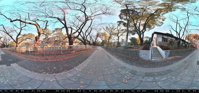 Aleta S2C 360 camera - park, daylight