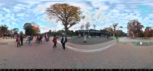 Aleta S2C 360 camera - park, daylight