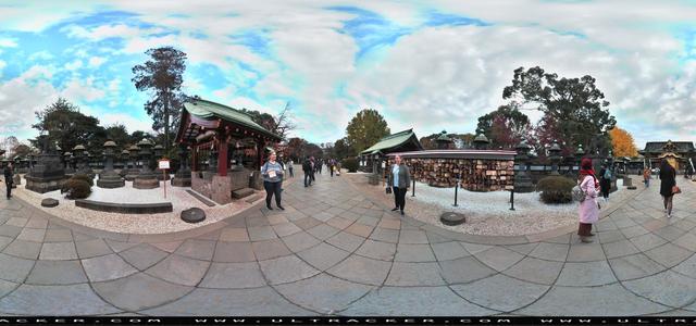 Aleta S2C 360 camera - park, daylight