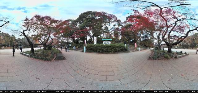 Aleta S2C 360 camera - park, daylight