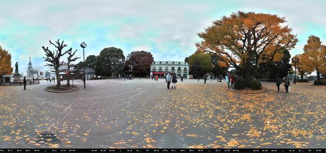 Aleta S2C 360 camera - park, daylight