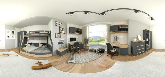 pan360-2