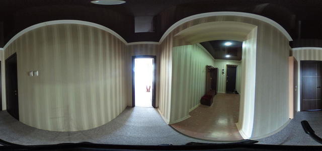 R0011233