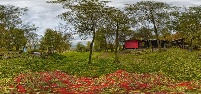 The kitchen building and the surroundings