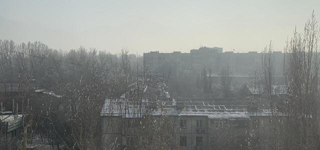 IMG 3505
