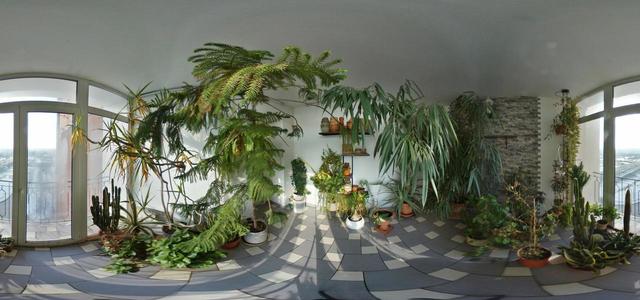 Winter Garden