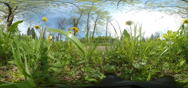 IMG 20210520 135339