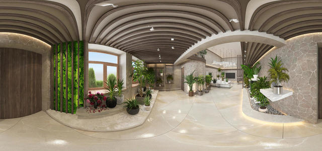 PANO2