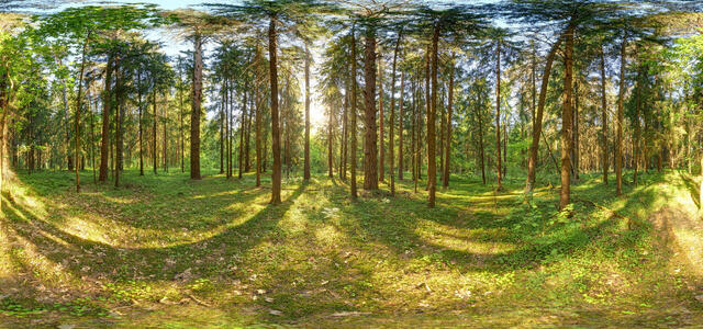 1Z9A6868 Panorama Fin
