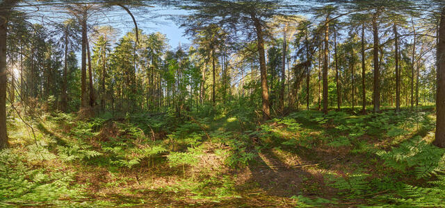  @ 1Z9A6997 Panorama Fin Min