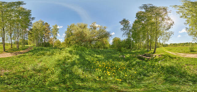 Весенняя прогулка