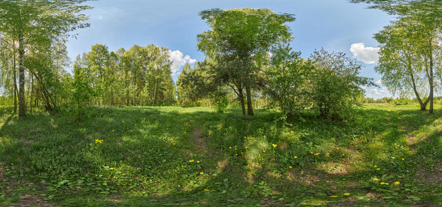 1Z9A5339 Panorama 8x4 65%