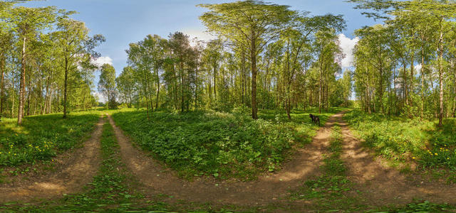 1Z9A5377 Panorama 8x4 65%