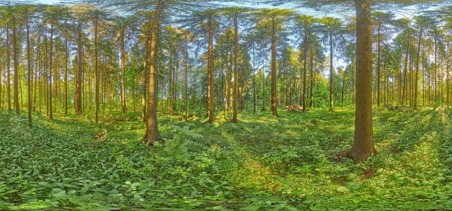 1Z9A6778 Panorama 8x4-65