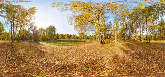 leaf fall