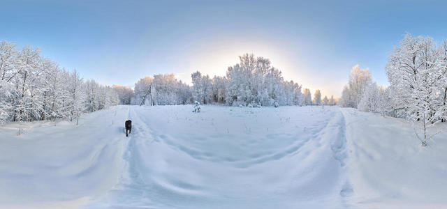 По заснеженным полям