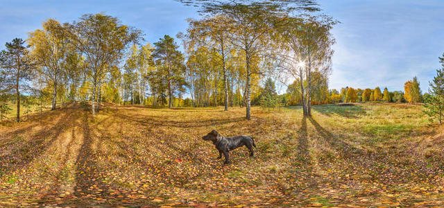 1Z9A7099 100 101 panoramavar1 10x5
