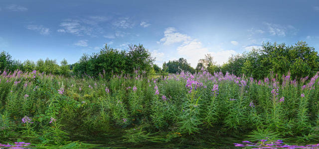 1Z9A9827 8 9 panorama equi 10X5