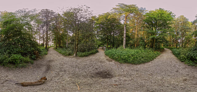 Gimbornhof - 5