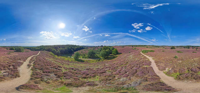 Herikhuizerveld - 5