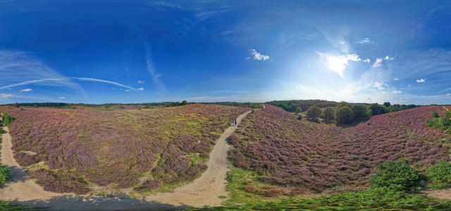 Herikhuizerveld -4