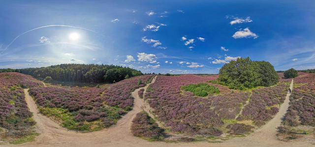 Herikhuizerveld - 1