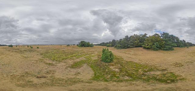 Kootwijkerzand