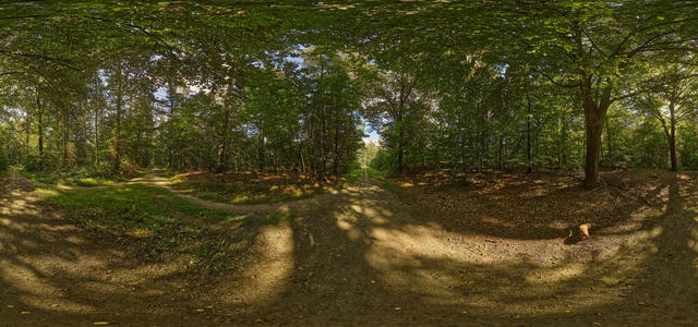 Hagenbos 2