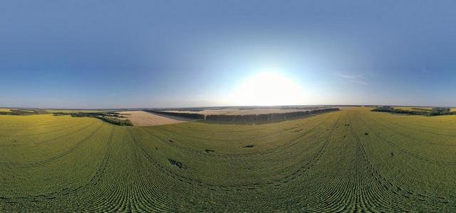 DJI 0533