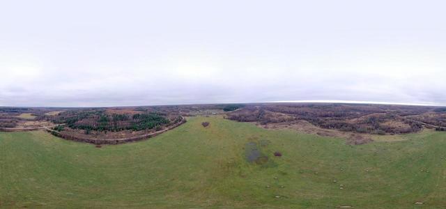 DJI 0160